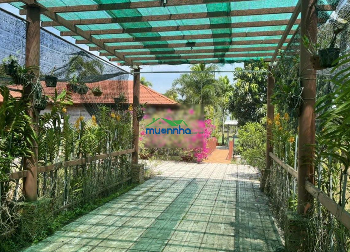 33.5 tỷ - xô viết nghệ tĩnh nối dài bình thạnh - 50x50m / 2.099m2 - thông tin thật - 4