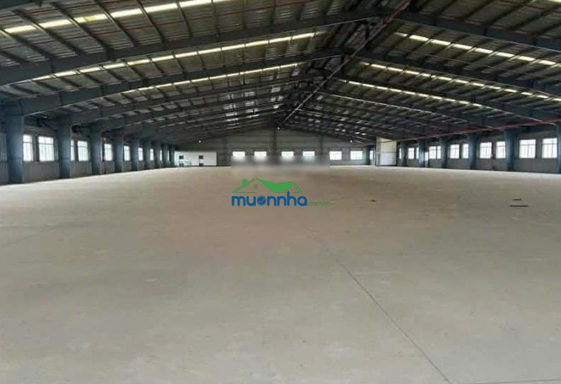 Chính chủ cần cho thuê kho xưởng mới xây tại kcn sóng thần 3, bình dương. lh 0348 222 ***