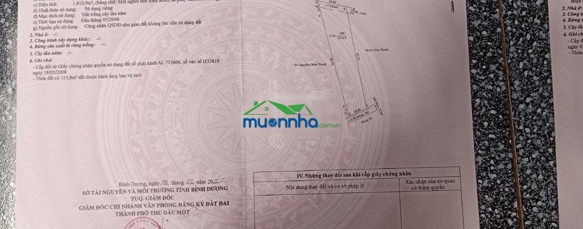 Chính chủ bán đất 2.588m2 (sẵn 700m2 thổ cư) full măng cụt chôm chôm - 3
