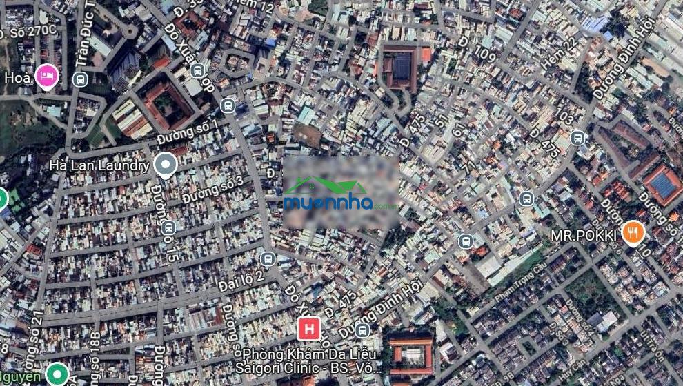 (5x26m) đỗ xuân hợp vào 70m đường lớn thông, phước long, chỉ 8 tỷ shr - 2