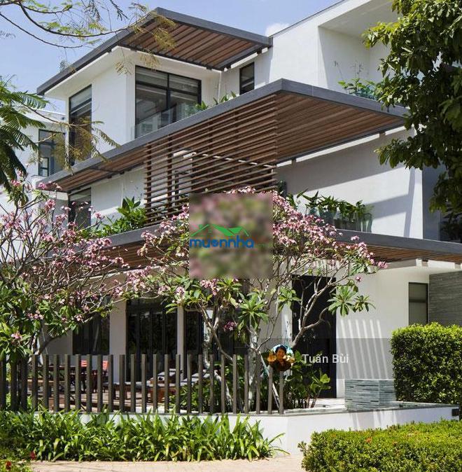 Biệt thự khu vip đường tú xương, q3, dt 180m2 hxh tuyệt đẹp chỉ 35 tỷ - 2