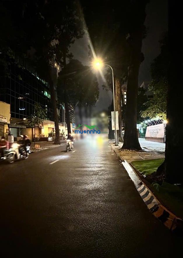 Bán đất nền mặt tiền 33m, 1250 tỷ. diện tích: 1317m2 tại mạc đĩnh chi, bến nghé, q1, hcm giá ưu đãi - 2