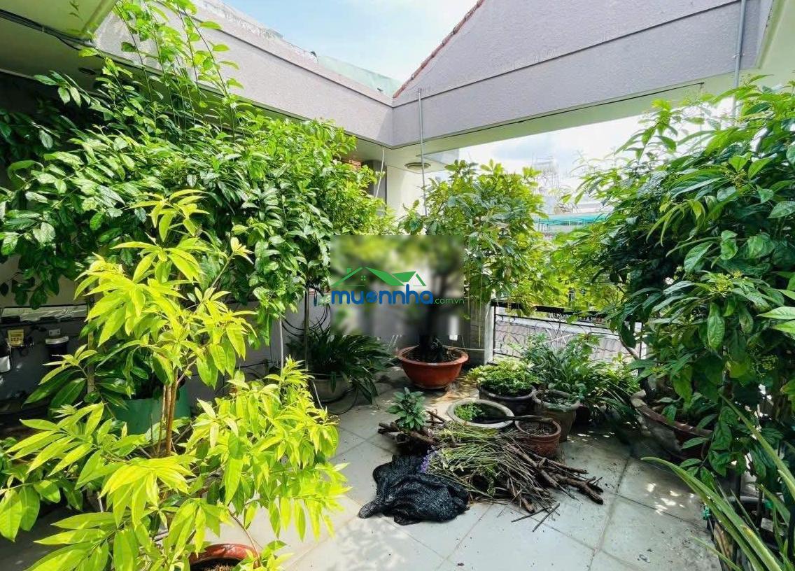 Chú tám cần bán nhà gấp đường xóm đất p8 quận 11 65m2 (5x13m) 3 lầu - pháp lý chuẩn - shr - 6m - 2
