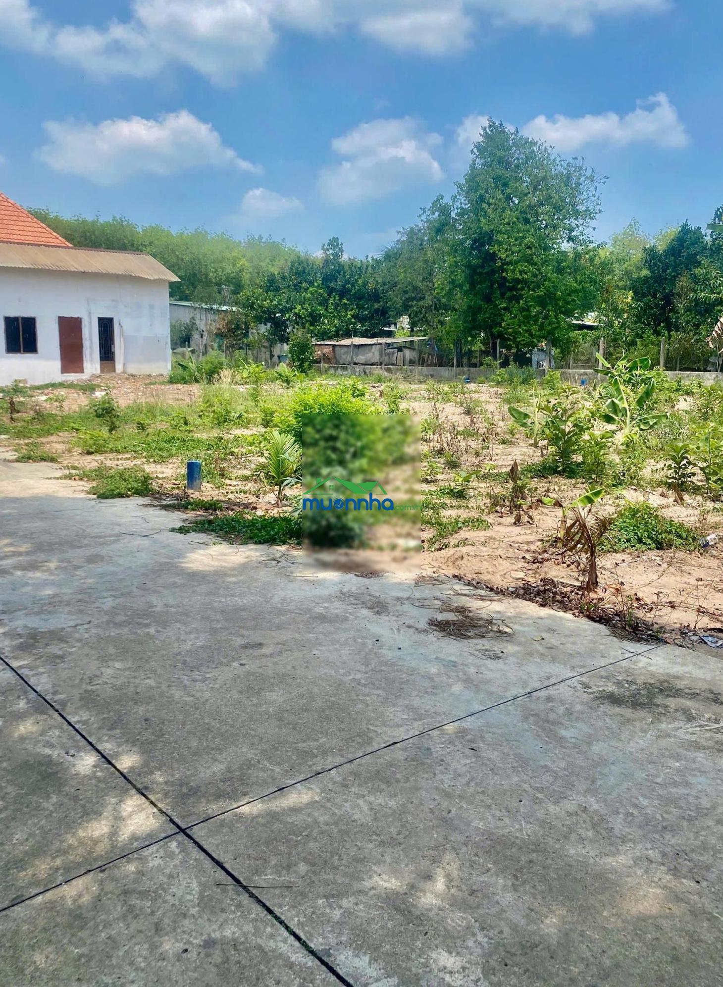 Bán đất ngộp ngang 6x23m, giá 400 triệu, sổ sẵn tại xã tân hiệp, phú giáo, bình dương - 3