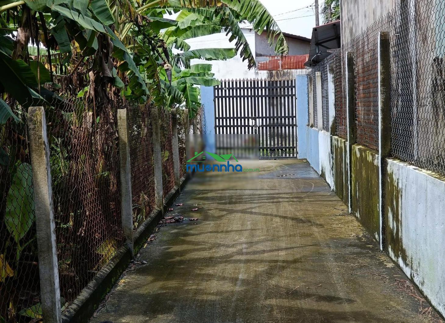 Bán nhà vườn phước thạnh củ chi, 23x44m, 1015m², 23x44m, thổ cư 300m², nhà cấp 4 mới đẹp mua ở ngay - 4