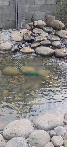 Bình chánh - hưng long - cần bán nhà vườn 600m2 sổ hồng riêng chính chủ - 4