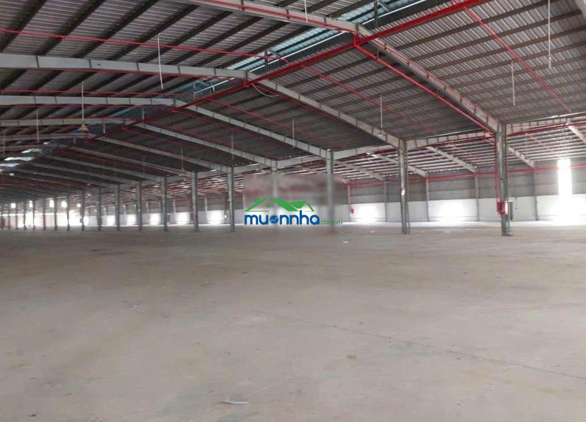 Cho thuê xưởng tại khánh bình tân uyên