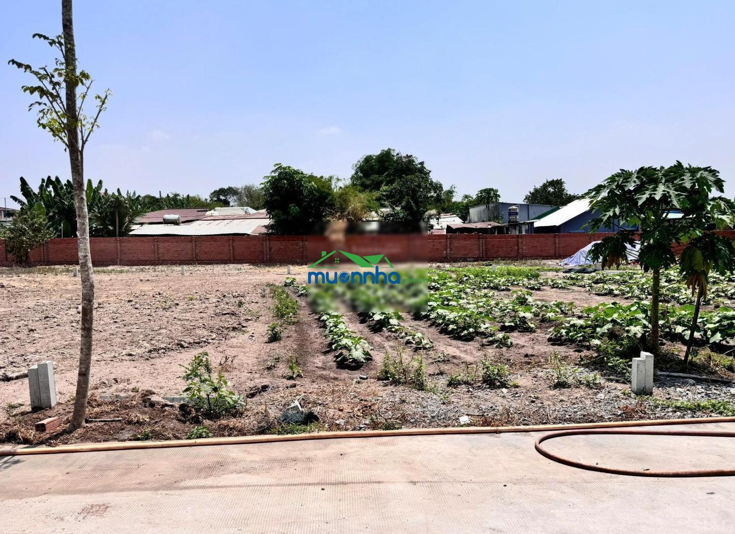 Nhà riêng bán tại nguyễn thị thôn, phú hòa đông, củ chi 1,6 tỷ, 125m2 đẹp, nhiều tiện ích - 2