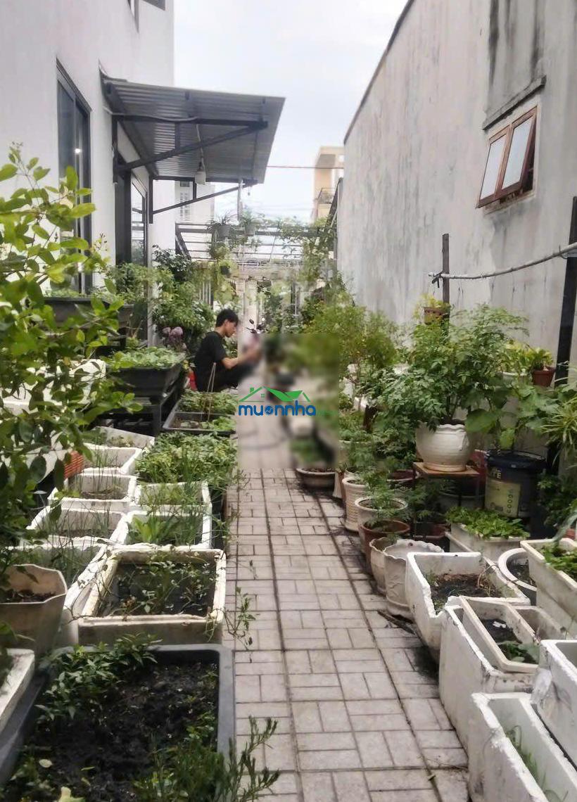 #Nhà vườn đẹp thới tam thôn hóc môn không gian sống thoáng mát, sân vườn rộng rãi, thích hợp ngh - 4