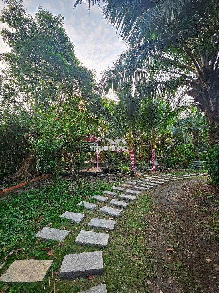 Cho thuê resort 850m2 - thái mỹ củ chi