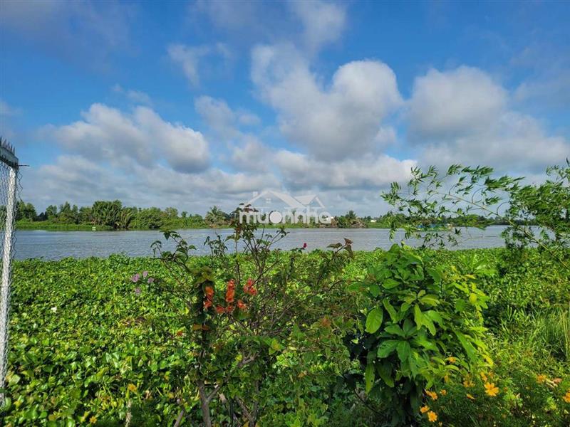 Bán đất nghỉ dưỡng view sông vàm cỏ đông đẹp tại hoà khánh