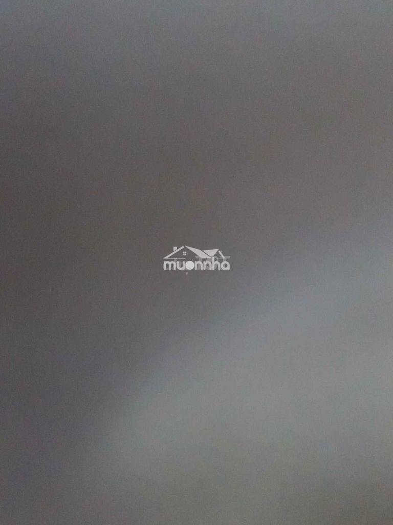 Cho thuê nguyên lầu q11