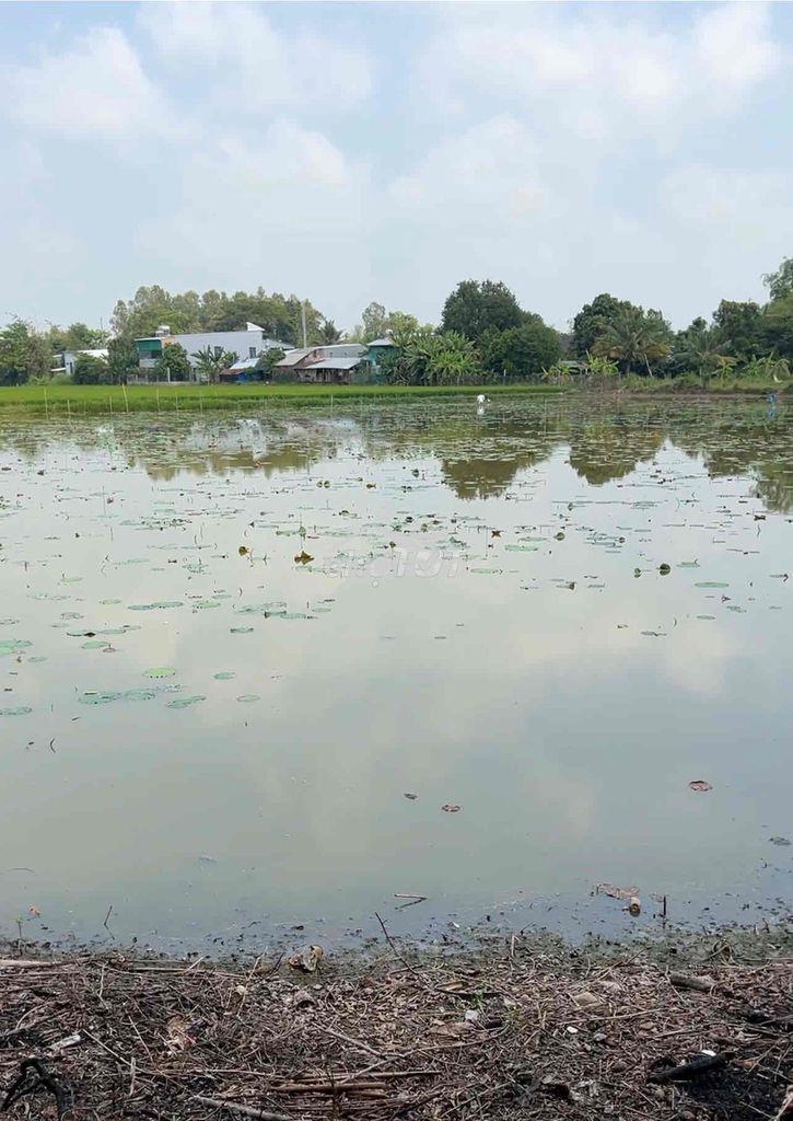 Cần bán 7000m2 đất lúa gần cầu cái đôi - 4