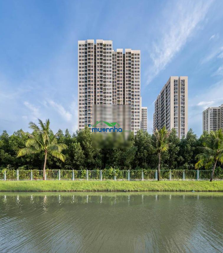 1pn + solari bán 2tỷ650 gấp vinhomes grand park - 2