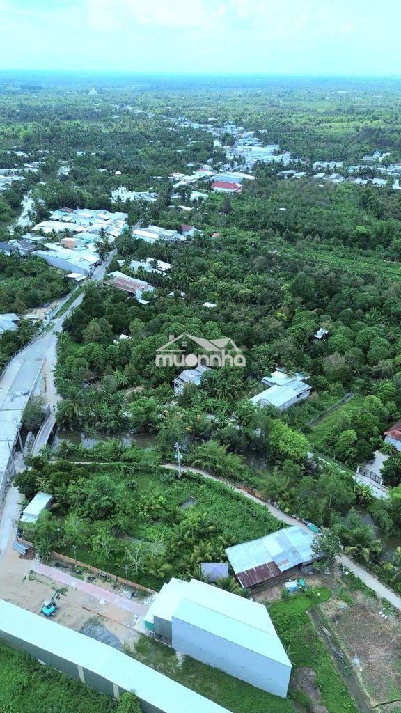 Nền giá rẻ gần chợ bông vang - 3