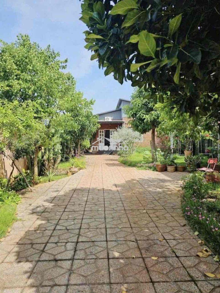 Nhà view nghỉ dưỡng - 2