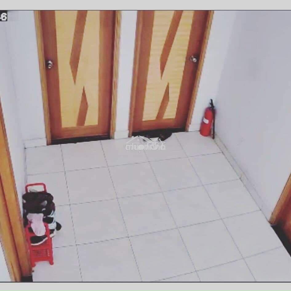 Cho thuê phòng đẹp chỉ từ 3tr5 - 4tr tại 347/163 lê đại hành p13 q11 - 2