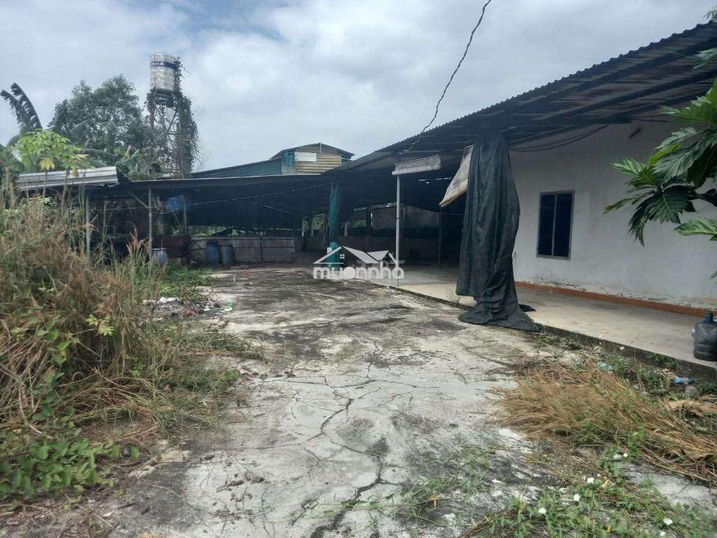 Cho thuê trang trại nhà xưởng  - 2