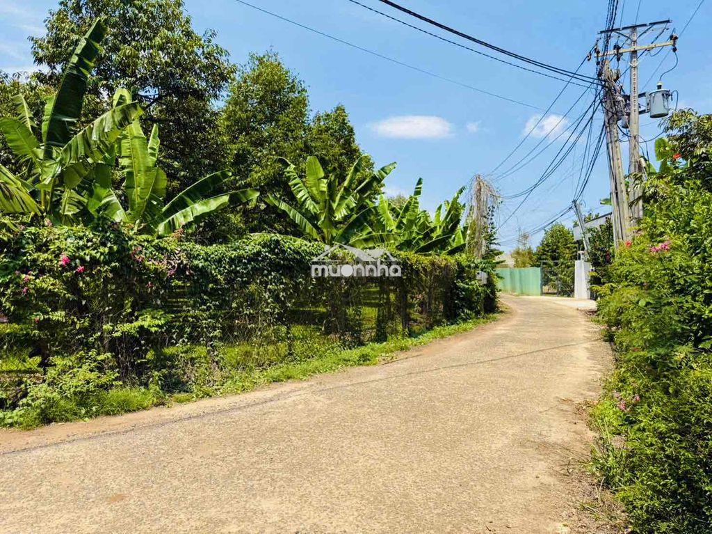 Bán 1 sào thổ cư long khánh - đồng nai - 4