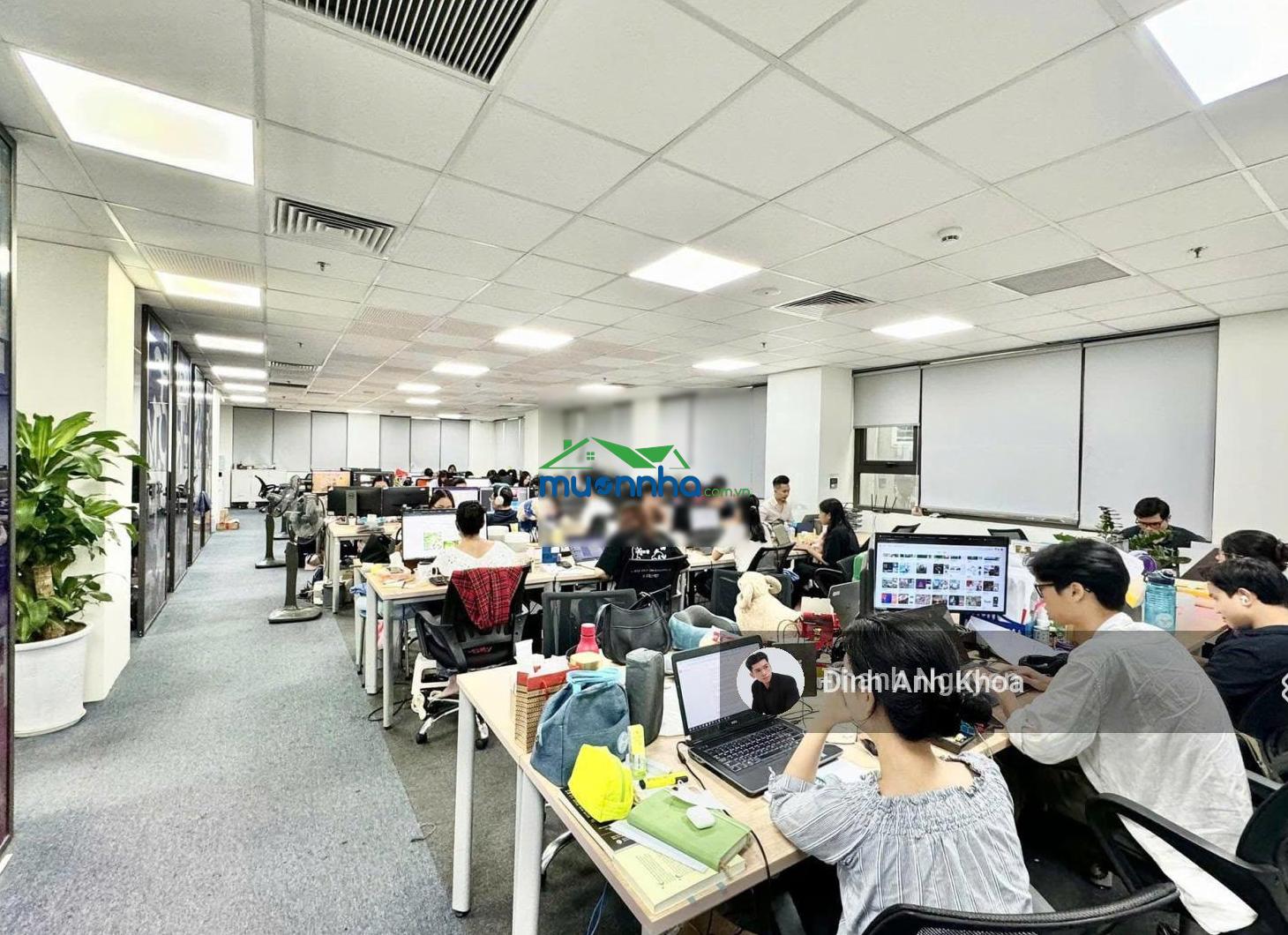 Hiếm! tòa nhà khu mai thị lựu, quận 1. dt 7 x 14m, 5 tầng vào khai thác ngay chỉ 18,5 tỷ tl - 4