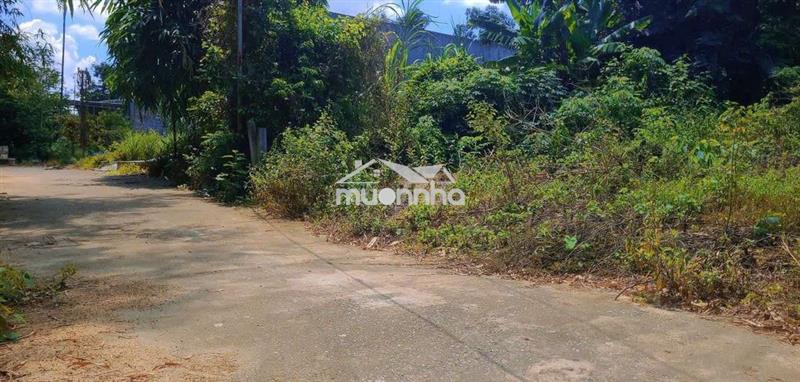 Đất trồng cây hằng năm kẹp giữa 2 nhà dân ở, 1100m2