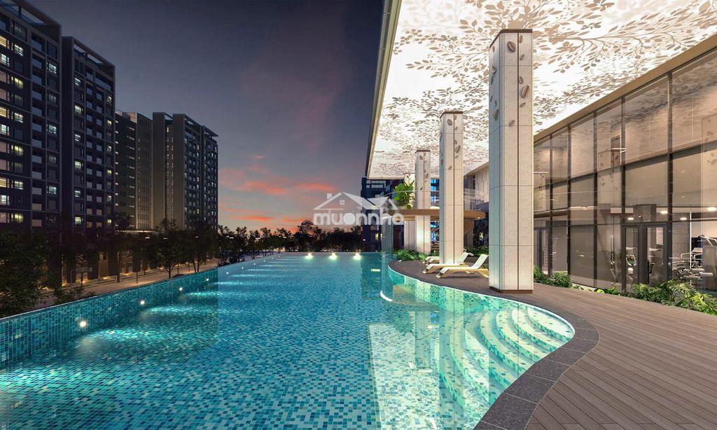 🔥Sắp mở bán the aristo phú mỹ hưng - 120-150 triệu/ m2 - 3