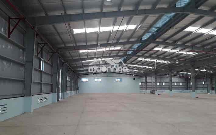 Cho thuê kho mt nguyễn văn lượng p17 gò vấp - 2