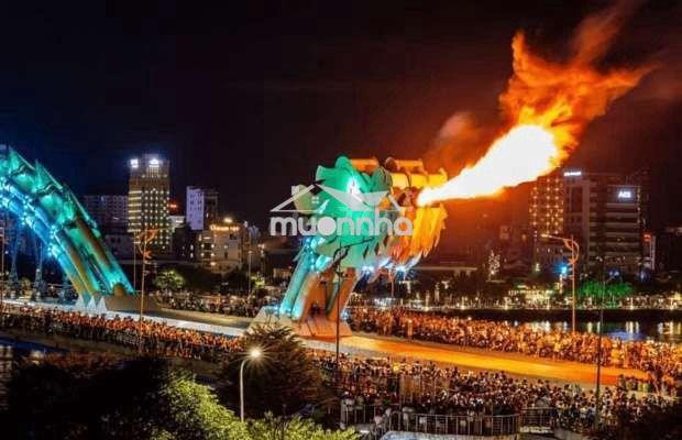 Mặt bằng kinh doanh chợ đêm sơn trà - 2