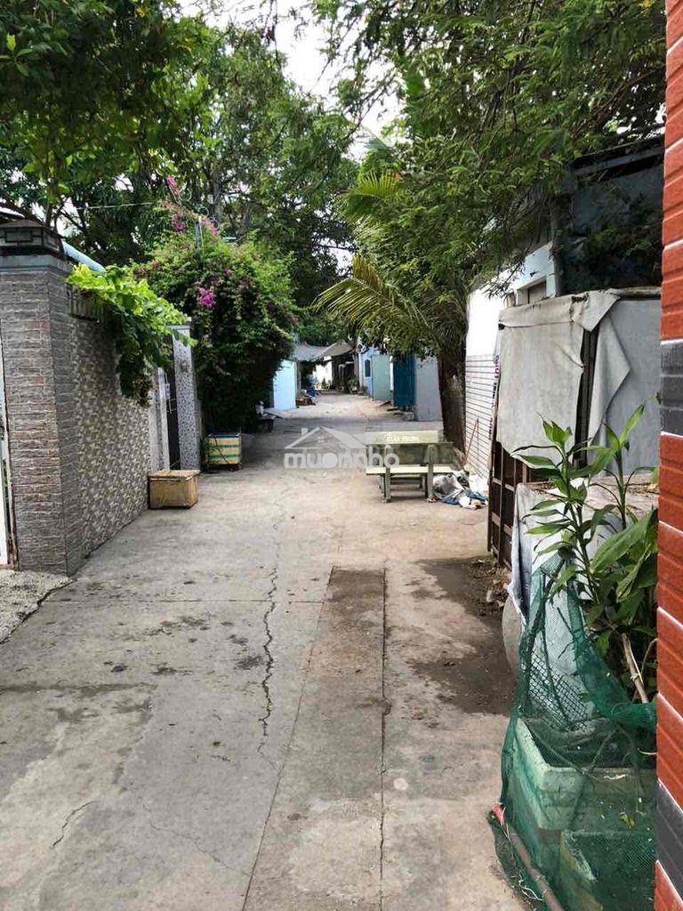Chính chủ bán gấp nhà phong phú - 3