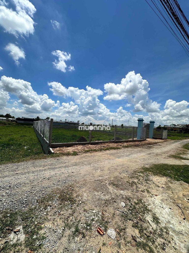 Bán đất thổ vườn giá rẻ - 3