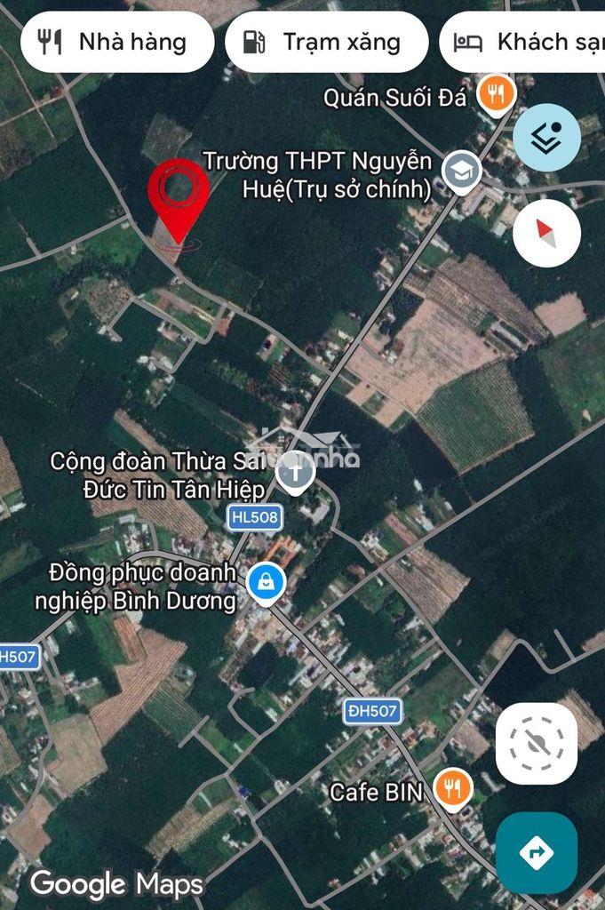 Chính chủ bán lỗ 1177m2 đất sổ hồng riêng tại tp. hồ chí minh 730t