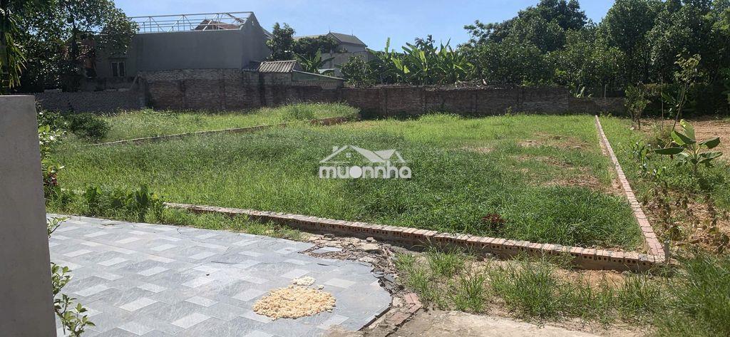 Bán đất chính chủ tại tây đằng - 3