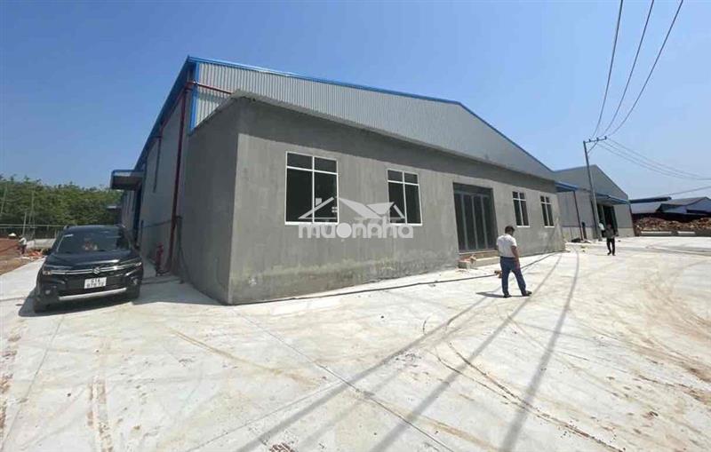Cho thuê 9000m2 xưởng mới xây dựng pccc tự động sản xuất đa ngành nghe