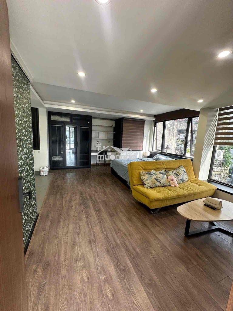 Cho thuê căn hộ studio rộng 50m2 gần lotte, himlam quận 7 - 2