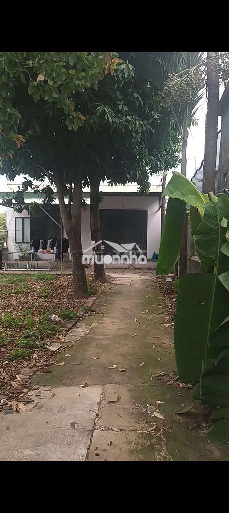 Cho thuê nhà 375m2 mt đường long phước gần dh luật - 3
