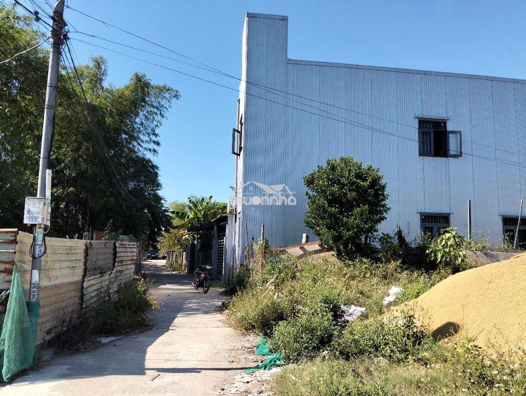 Lô đất sổ hồng đất trồng cây hàng năm. tôn đản. đà nẵng - 3