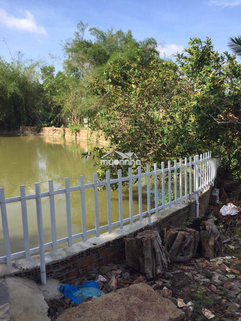 Bán nhà ở có ao vườn 1.800m² - 4
