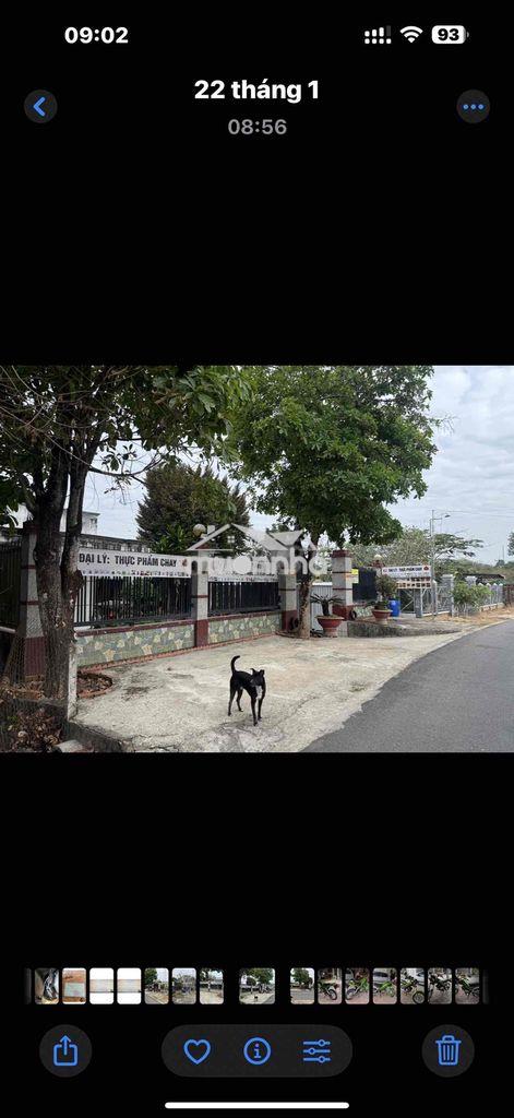 3 tỷ 6 nhà đất giáp suối lê danh cát p tây nam tp hcm g ranh địa đạo - 2