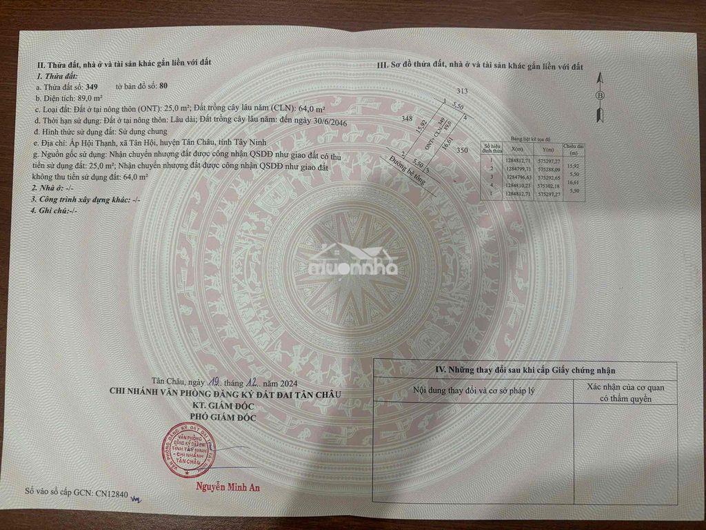 Đất ngộp giá công nhân , sổ sẵn - 3