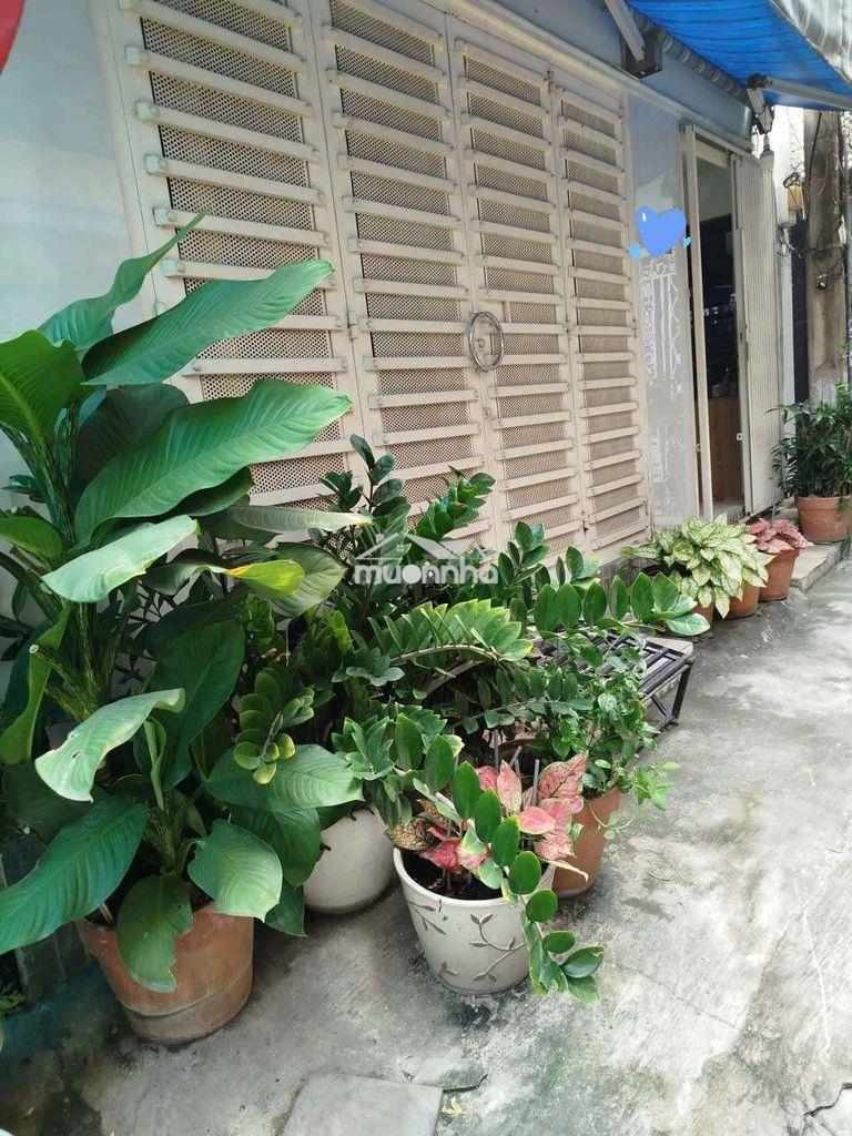 Cho thuê phòng trọ giá tốt cho nữ, 20m2,q3 - 2