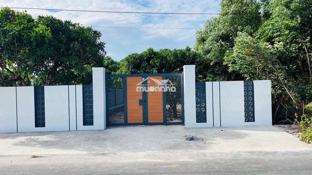 Vườn xoài thị trấn phước hải- gần biển phước hải - 10x50m - 2