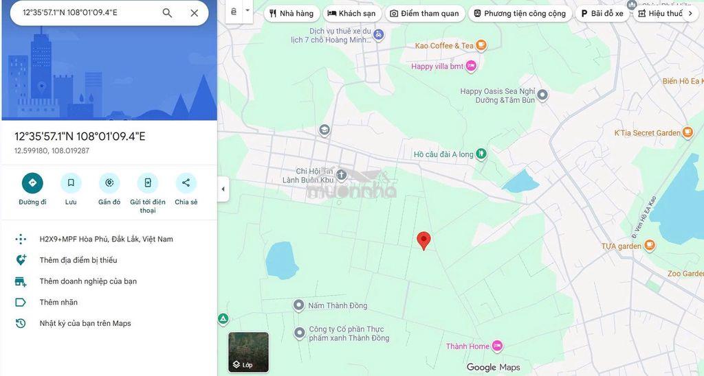 Bán vườn cà phê xã hòa khánh giá ngộp - 2