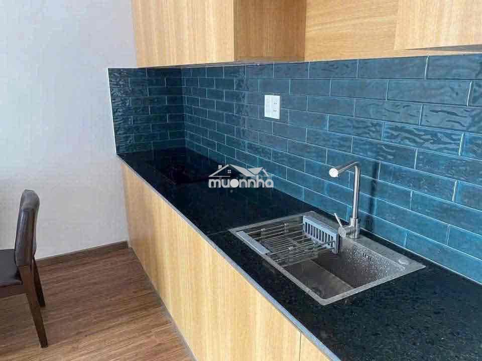Nhà hiệp thành gần phạm ngọc thạch nhựa 5m sân oto - 4