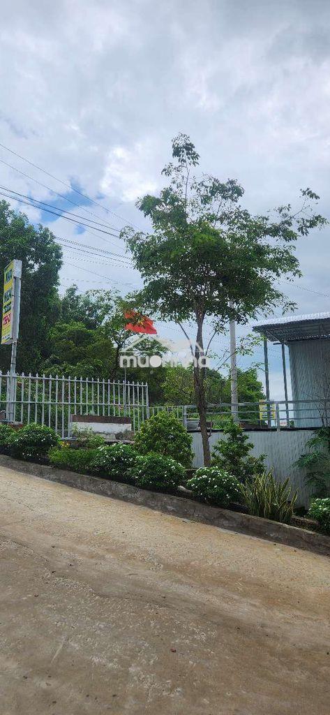 Mặt bằng đăng kinh doanh - 3