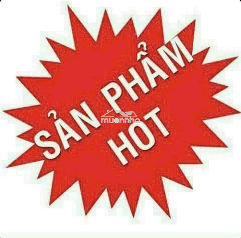 Nhà 6x13m 1 lầu lâm văn bền giá hấp dẫn đầu tư