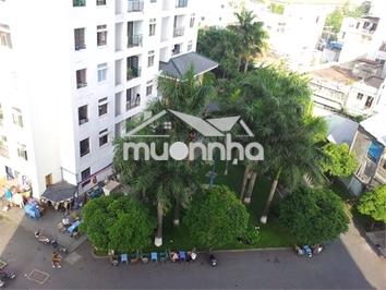 Bán gấp chung cư 312 lạc long quân, quận 11( cũ), 65m2, ntdt sổ hồng - 2