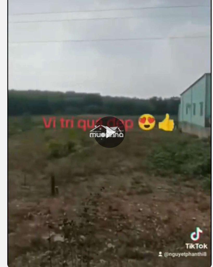 Hàng ngộp thở luôn rồi khách iu ơi - 2