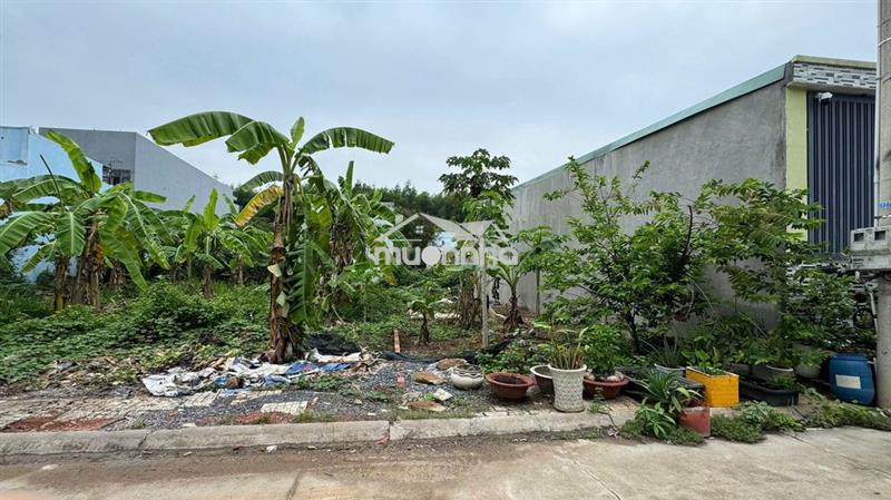📢 Hot! chủ cần bán gấp 2 lô đất liền kề – vị trí đẹp, giá tốt