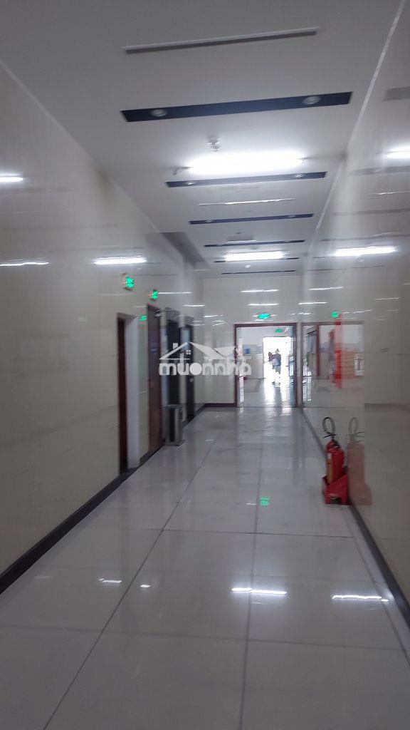 C/cư useful giá rẻ nhất khu vực-gần sân bay-chợ tb-đhbk , y dược,k.tế - 4