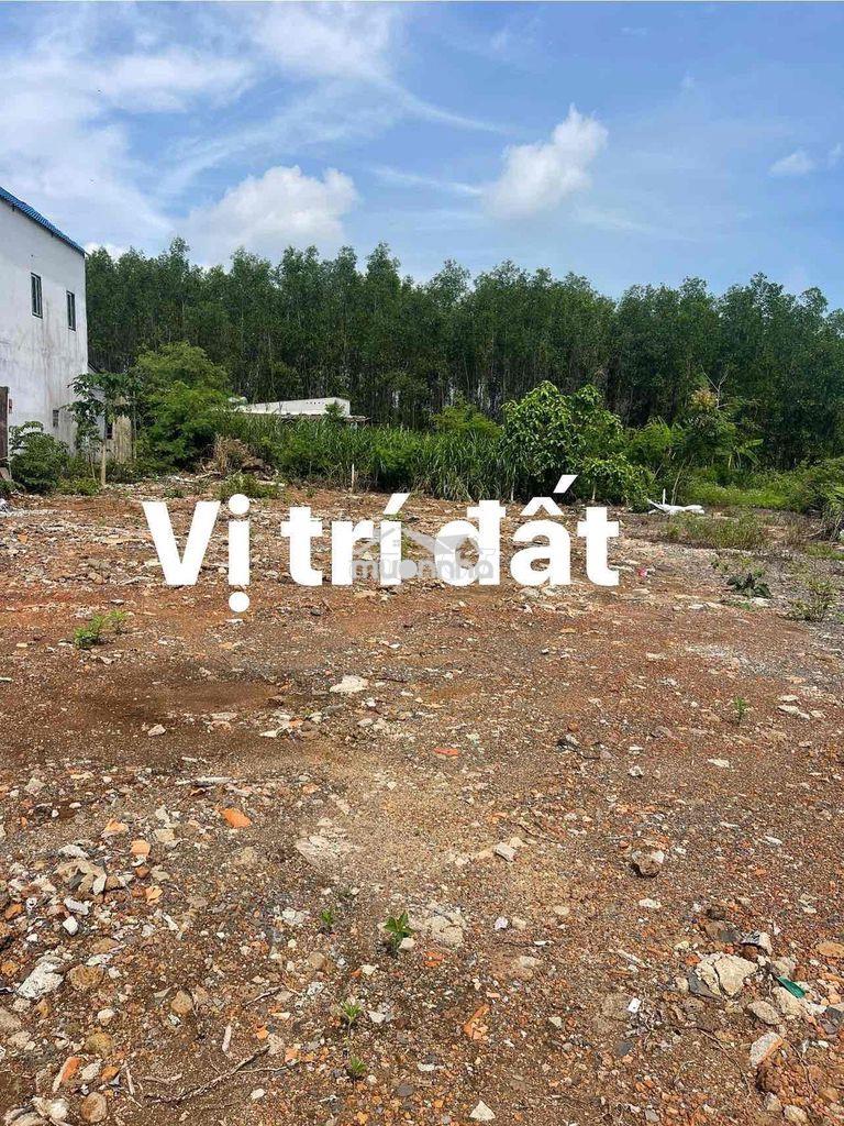 Cần tiền bán gấp đất thổ vườn giá tốt - 4